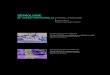 Sémiologie · 2012. 1. 11. · Sémiologie de l’image fonctionnelle travail d’analySe image présumée efficace Abramet, Publicité de sensibilisation sur l’alcool au volant