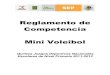 Reglamento de Competencia Mini Voleibolhistorico.conade.gob.mx/Documentos/Eventos/Eventos...Reglamento de Competencia -MINI VOLEIBOL- - 7 - Los zapatos deben ser ligeros y flexibles,