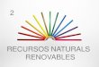 RECURSOS NATURALS RENOVABLES...2015/02/02  · poques Instal·lacions a Espanya; Almería, amb la central solar de Taberna, Huelva i Tenerife presenten les localitzacions òptimes