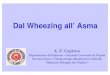 Dal Wheezing all’ Asma - SIPPSsuccessiva comparsa di asma / iperreattività bronchiale • Gli studi valutati (n.12) mostrano l’esistenza di una correlazione tra infezione delle