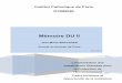 Institut Catholique de Paris IFOMENE€¦ · IFOMENE DU II Mémoire 4 I. INTRODUCTION La protection de l'environnement est un sujet transversal qui relève de l'économique et du