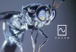 Mission - Danish Farmers Abroad...• Insekternes verden betegnes også ”Entomologi” (efter Aristoteles) Black Soldier Fly (sort soldater flue) • Livscyklus omkring 49 dage Æg