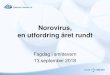 Norovirus, en utfordring året rundt...Mandag18. desember 2017 • Medisinsk avdeling14 pasienter og 6 ansatte med symptomer på smittsom magesyke. –I tillegg er det sporadiske tilfeller