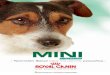 CMJN de base - zooplus MINI SIZE... · 2009. 9. 14. · perros cazadores, perros de deporte ... Las croquetas contribuyen plenamente a la Nutrición-Salud. Por su forma, su textura