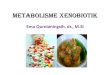 METABOLISME XENOBIOTIK - chanif.lecture.ub.ac.idchanif.lecture.ub.ac.id/files/2019/09/metabolisme_xenobiotik-2b-1.pdfbenzoat, meprobamat, fenol, steroid –Sulfasi •Donor sulfat