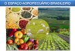 O ESPAÇO AGROPECUÁRIO BRASILEIRO · 2020. 9. 14. · •Hoje a atividade primária fundamental é a agropecuária, porém ela ocupa apenas cerca de 30% do território nacional