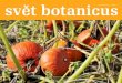 svět botanicus podzim 2013 | číslo 17 · Dýně jsou hlavním tématem nové rubriky ... se velké objednávky a zkrátí se zprostředkovatelský ... Doba, do kdy pačuli na polích