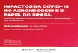 IMPACTOS DA COVID-19 NO AGRONEGÓCIO E O PAPEL DO …...5 Impactos da COVID-19 nos sistemas agroalimentares e o papel do Brasil 1. Introdução Há cerca de cem anos, entre 1918 e