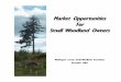MarkMarket Opporet Opporet Opportunitiestunitiestunities ...new.wcswa.com/wordpress/wp-content/uploads/2017/03/SWO...tracts. In Washington County, an analysis of forestland tax rolls