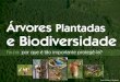 Árvores Plantadas e Biodiversidadeiba.org/datafiles/publicacoes/slideshare/16-biodiversidade-fauna.pdf · Os inimigos naturais controlam de forma natural o número de pragas e de