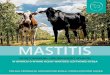 MASTITIS - PFHBiPMSTRATY W STADZIE Z MASTITIS SUBCLINICA Stado przez cały okres laktacji 244 200 kg / 336 966 zł (przy cenie mleka 1,38 zł za litr) 16 849 120 000 200 tys./ml 400