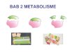 Bab 2 METABOLISME - Katabolisme Karbohidrat Bab 2 Metabolisme. Tahapan glikolisis Bab 2 Metabolisme