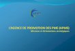 Plan de l’exposé · Promotion de la création et de la formalisation des PME Information pour les PME et sur les PME 01 site web fonctionnel () 01 répertoire des sources d’appui