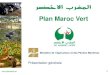 Plan Maroc Vert - 2017. 7. 13.آ  Plan Maroc Vert : 2 Un programme de relance ambitieux mais pragmatique