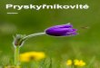 Pryskyřníkovité (Ranunculaceae)studenti.cgym-kh.cz/studenti/biologie/5 kvinta... · 2017. 9. 4. · Pryskyřníkovité (Ranunculaceae) /čti: ranunkulácé/ 1. Mnoho tyčinek a