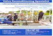 Valve Reconditioning Specialist uSmsn n douOiãoTus ...thailandtapiocastarch.net/supplier/factsheet-76-.pdfUsed valve Supply Flat Lapping Service J.UNITY CO., LTD. 96/106 3 12150 02-9872199