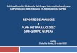 REPORTE DE AVANCES Y PLAN DE TRABAJO 2017 ......Plan de Trabajo 2017 elaborado (derivado de la encuesta). Guía para la implementación de la Estrategia Nacional para la Prevención