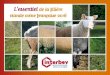 L’essentielde la filière viande ovine française 2016CONSOMMATION Evolution de la consommation de viande ovine en France (en kg équivalent carcasse) 5,4 kg/hab/an 2,6 -2,8 kg/hab