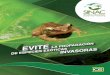 Estrategia Nacional de Biodiversidad 2016-2025 - Costa Ricaenbcr.go.cr/sites/default/files/fichasespeciesexoticas... · 2019. 3. 1. · El riesgo latente de disminución de poblaciones