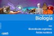 Biomoléculas orgánicas: Ácidos nucleicos€¦ · 2. Ácidos nucleicos 2.4 ARN ARN (Ácido ribonucleico) Bases nitrogenadas Adenina Guanina Uracilo Citosina Pentosa Ribosa Características