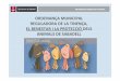 ORDENANÇA MUNICIPAL REGULADORA DE LA TINENÇA, EL … · 2018. 9. 14. · PRESENTACIO: L’Ordenança aprovada és fruït de la col·laboraciói el consens de l’Ajuntament i les