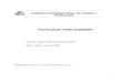 COMISIÓN INTERMINISTERIAL DE CIENCIA Y TECNOLOGÍAmnombela.webs.uvigo.es/pdf/curricMichelEne05.pdf · 2005. 3. 22. · 5 Título del proyecto: Procesos de sedimentos finos cohesivos