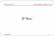Gianluigi Me gianluigi.me@ieee · 2010. 10. 21. · 24/03/2005 6 IPSec IPSec usa • Procedure e Protocolli di gestione di chiavi crittografiche 9Internet Key Exchange (IKE) : installa