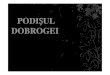 PODI UL DOBROGEIdopopan.ro/facultate/L9_2.pdf · 2018. 8. 11. · • Dobrogea din Nord este înalt ă format ă din tocirea unor mun ți hercinici • Dobrogea Central ăeste un