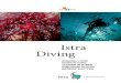 Istra Diving - Funtana, 12 IsTRa DIVING IsTRa DIVING 13 westlicher von Novigrad liegt das kriegsschiff