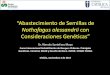 Nothofagus alessandrii con - INFOR · 2017. 11. 6. · Dr. Rómulo Santelices Moya Curso Internacional Rehabilitación de Bosques Chilenos. Principios Genéticos. Iniciativa 20x20