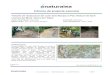Informe de projecte executat - Naturalea Treballs de restauraciأ³ del camأ­ dels Monjos al Parc Natural