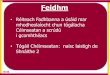 Feidhm - Project Maths · 2018. 9. 3. · 2012/2013/2014 Gnáthleibhéal Tógálacha 16, 17, 21 Téarmaí: teoirim, cruthúnas aicsiom, atoradh coinbhéarta, is intuigthe as Imscrúdú