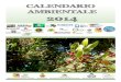 CALENDARIO AMBIENTALE 2014 - Arpa Sicilia · 2014. 6. 20. · ovini. Le foglie e le bacche sono stimolanti e diuretiche. Il suo legno è compatto, duro, resistente, incorruttibile,