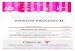 DERECHO PROCESAL II - Pillatoner S.L. · 2020. 3. 31. · Derecho Procesal II Pillatoner SL 2 Prólogo Pillatoner SL, es una empresa dedicada a la edición y venta de apuntes para