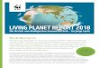 LIVING PLANET REPORT 2018 - WWF · 2020. 6. 2. · Unser Planet steht unter Druck Der Living Planet Report zeigt, dass die Fische, Vögel, Säugetiere, Amphibien und Reptilien immer