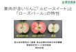 果肉が赤いりんご「ルビースイート」と 「ローズパール」の …tohoku-hightech.jp/file/HP27_seminer_okada_1127.pdf1．リンゴ果実における果肉着色について