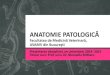ANATOMIE PATOLOGICĂ patologica 2015.pdf · 2015. 12. 17. · Anatomie patologică „anatopat” 1. Tip de disciplină şi obiective majore 2. Timp alocat disciplinei (număr de