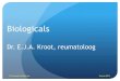 Biologicals - Elkerliek · 2016. 5. 15. · Dr. E.J.A. Kroot, reumatoloog 19e Grande Conférence Verona 2013. Indicaties Reumatoïde artritis Artritis psoriatica Ankylosing Spondylitis
