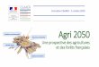 Présentation PowerPoint - ImPACtons! · 2020. 11. 4. · Image 2035 Agriculture Alimentation Outre-mer Travaux de prospective nationaux et internationaux à 2030 à 2040 à 2050