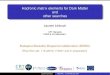 Hadronic matrix elements for Dark Matter and other searches ... Laurent Lellouch CPT Marseille CNRS