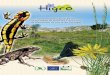Higro | conservação de habitats de montanha · 2012. 6. 21. · características climáticas e as condições ambientais locais (e.g. topografa, litologia, histórico de uso) devem