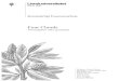 Simon Nilsson Eximinationsuppgift Four Chords1127538/FULLTEXT01.pdf · 2017. 7. 16. · Four chords, melodi, ackordföljd, tonrörelser, rytm, tonlängder, färgtoner, intresse, variation,
