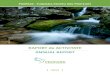 RAPORT de ACTIVITATE ANNUAL REPORT · Defileul Jiului 27 E. Planul de Management al Sitului Natura 2000 Bazinul Ciucului de Jos ROSCI0007 29
