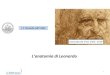 L’anatomia di Leonardo - Ugis...L’anatomia di Leonardo 2 Artista Ingegnere Scienziato Nutrizionista Anatomico ? 3 Michelangelo Buonarroti 1475-1564 Raffaello Sanzio 1483-1520 Anatomia:
