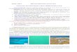 OCEANUL PLANETAR ȘI CARACTERISTICILE SALE informative/2... · 2020. 4. 30. · Clasa a IX-a Material informativ pentru elevi OCEANUL PLANETAR ȘI CARACTERISTICILE SALE Oceanul Planetar
