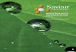 Savian-Comercial-ok-2 · 2018. 6. 12. · de flores y frutos, aumentando el desarrollo vegetal y la producción. Previene la carencia de magnesio, y como elemento principal de la