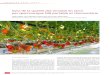 Suivi de la qualité des tomates en serre par spectroscopie ......162 Revue suisse Viticulture, Arboriculture, Horticulture | Vol. 46 (3): 162–171, 2014 Introduction Pour étudier