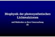 Biophysik der photosynthetischenBiophysik der ......Mechanismus der Ladungstrennung Aus: Barber J, 2003, QuartRevBiophys36, 71-89 ¾1. “Special pair”-Chlorophylle (=P680) übernehmen