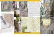 Falesia.it - Rock Climbing & Arrampicata Sportiva | EN › images › falesia › italia › lombardia › valgua.pdf · Supera 10 gpigolo di degtra dello Scoglio. Itinerario bello,