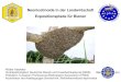 Neonicotinoide in der Landwirtschaft Expositionspfade fأ¼r Bienen Neonicotinoide in der Landwirtschaft